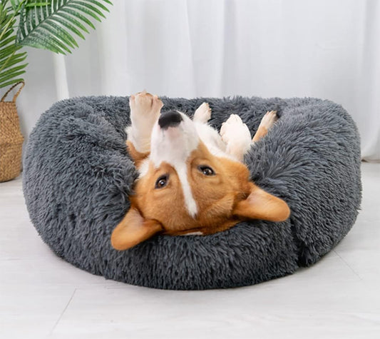 Designed for Deep Sleep: Why Donut Beds Help Pets Rest Better