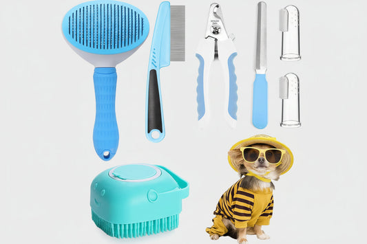 Set of pet grooming tools with a small dog wearing a bee costume on a white background