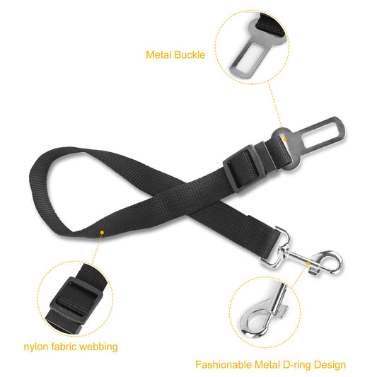 Black dog leash with metal buckle and D-ring on a white background