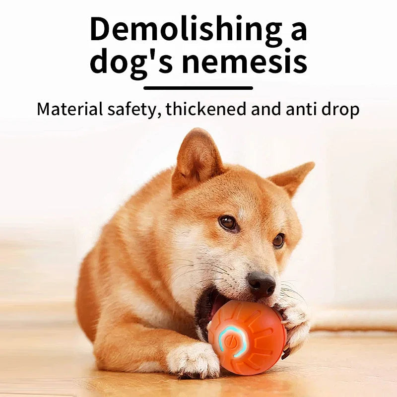 Dog playing with a toy, promoting material safety, thickness, and anti-drop features.