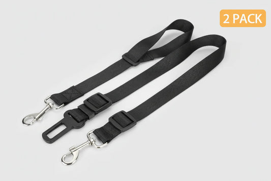 Dog wearing a black harness in a car with a close-up of two dog seat belts on a white background.