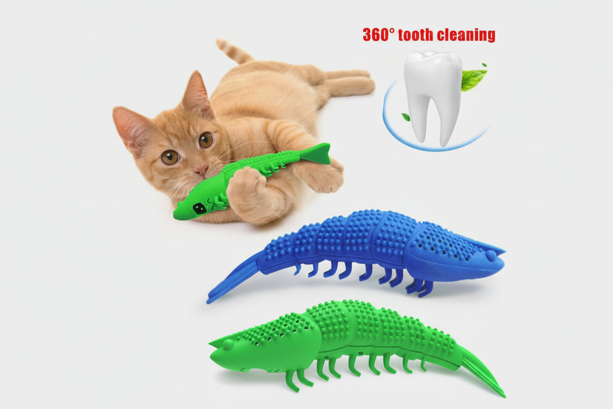 Cat playing with a green and blue silicone toy, with close-up of tooth cleaning illustration.