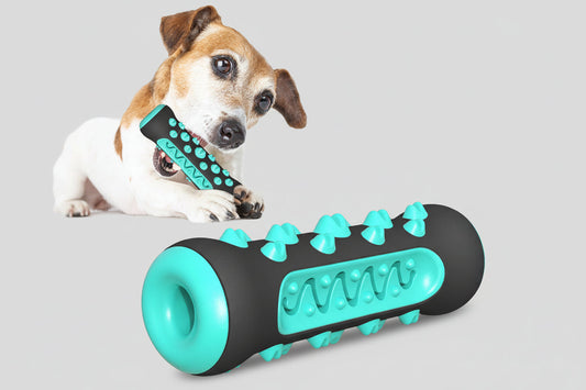 Dog with a black and teal dog toy on a white background