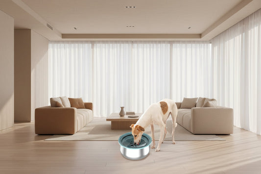 Large capacity stainless steel pet water bowl for dogs and cats in gray color