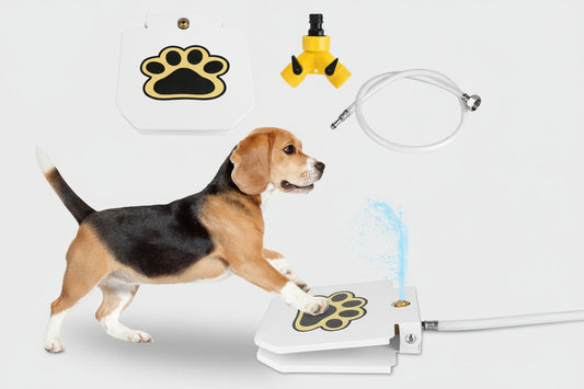 Dog walking on a pad with a water sprayer and hose, featuring paw design.
