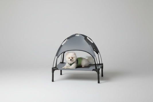 Dog lying on a gray pet canopy bed with a white background