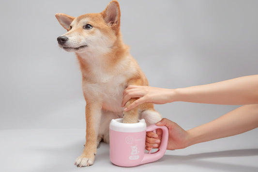 Dog using a pink mug with a handle on a pink background