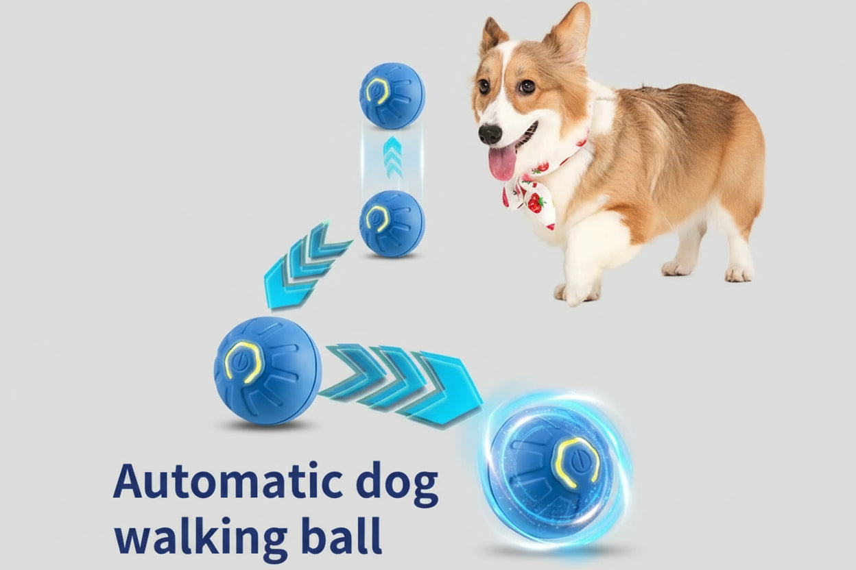Automatic dog walking ball with a dog on an orange and blue background
