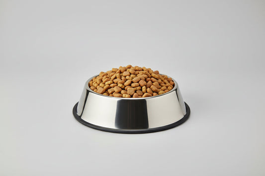 Dog looking at a bowl of kibble with a close-up of the bowl's lid on a beige background.