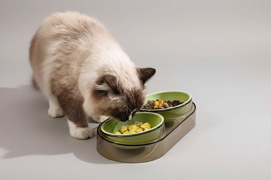 Cat eating from a green bowl on a raised platform with text 'Separate bowl body easy to clean'.